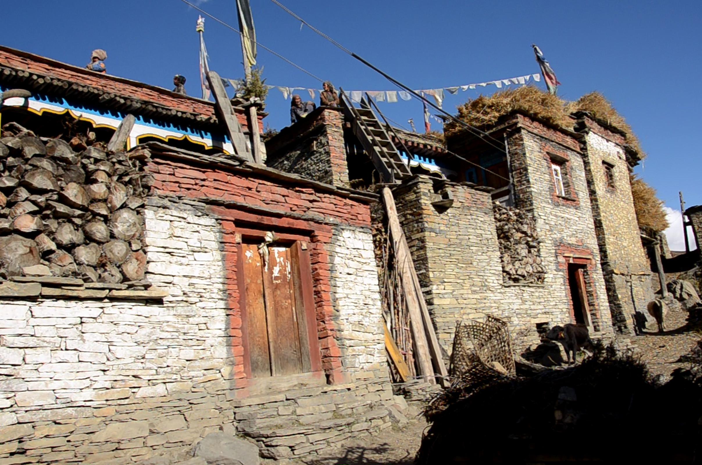 08 People On The Roofs Of Houses In Nar Village Stacked With Hay And Cows Down Below 